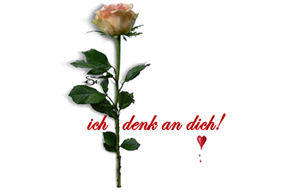 Sprüche